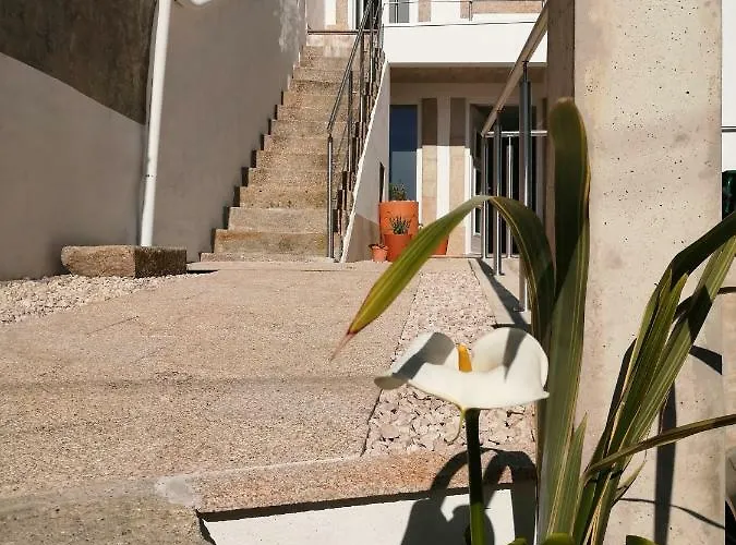 Casa Ventuzelo Lägenhet Oporto