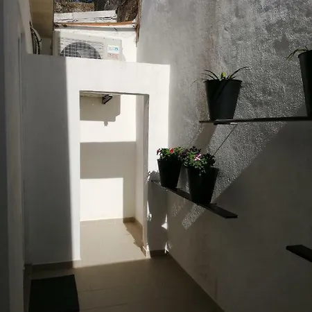 Casa Ventuzelo * ポルト