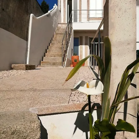 Casa Ventuzelo アパート ポルト